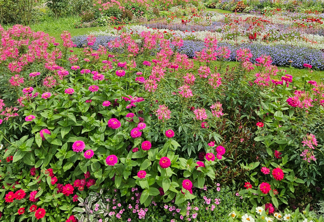 Rückblick auf das Sommerfest am 2. August 2024 auf der Landesgartenschau Wangen